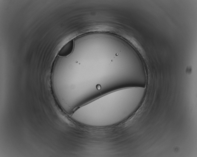 X0000096630850200802050932