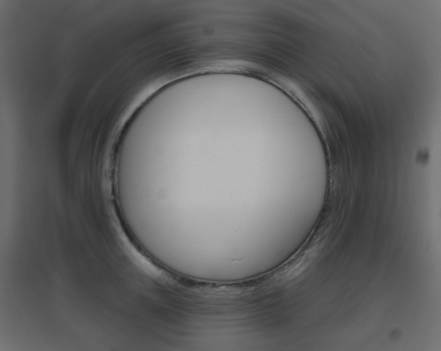 X0000096630851200802050932