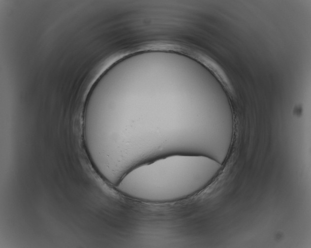 X0000096630852200802050932