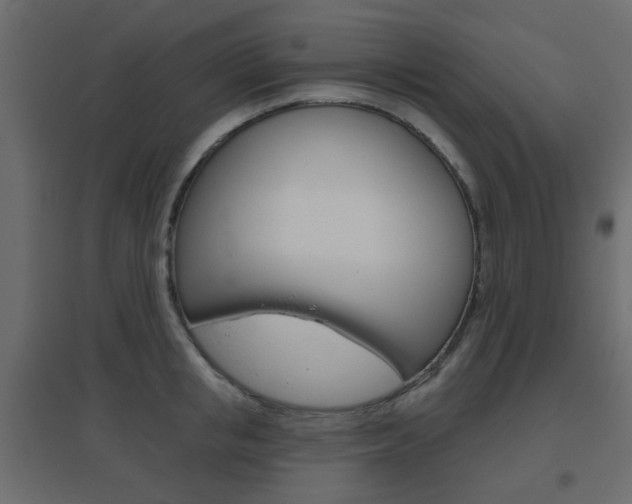X0000096630853200802050932