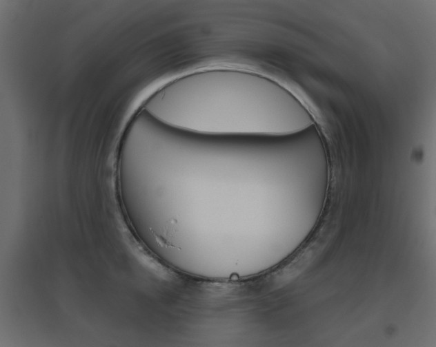 X0000096630854200802050932