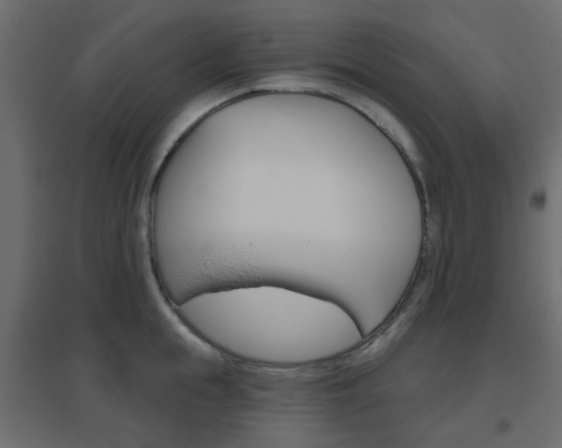 X0000096630855200802050932