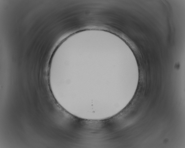 X0000096630856200802050932
