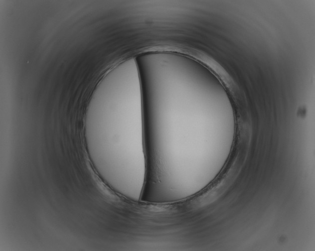 X0000096630857200802050932