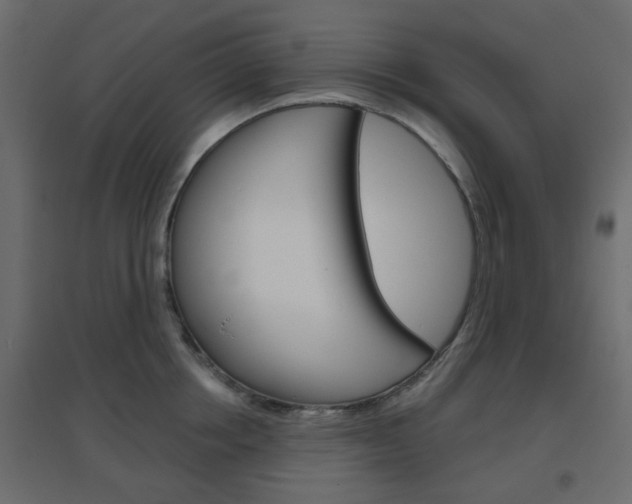 X0000096630858200802050932
