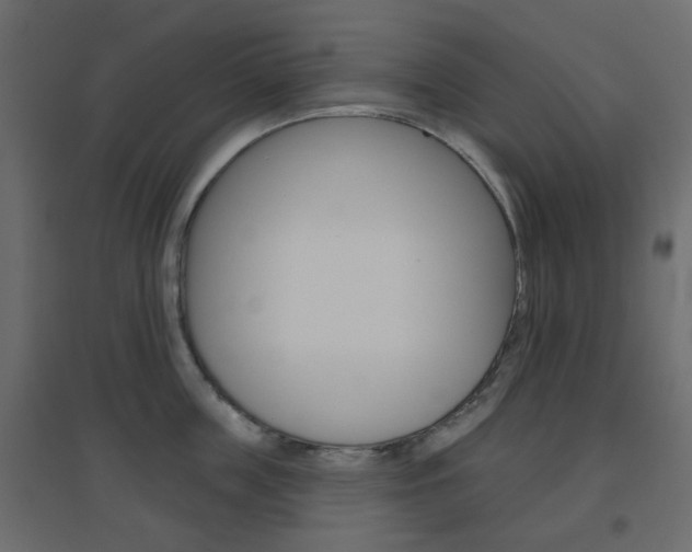 X0000096630859200802050932