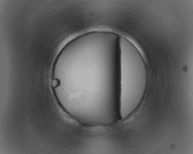 X0000096630861200802050932