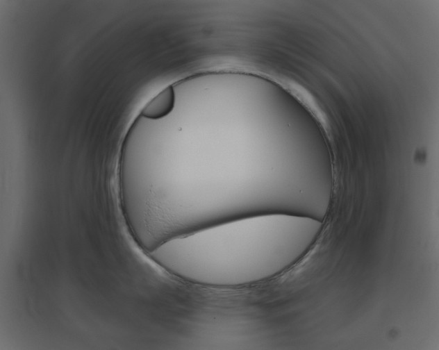 X0000096630863200802050932