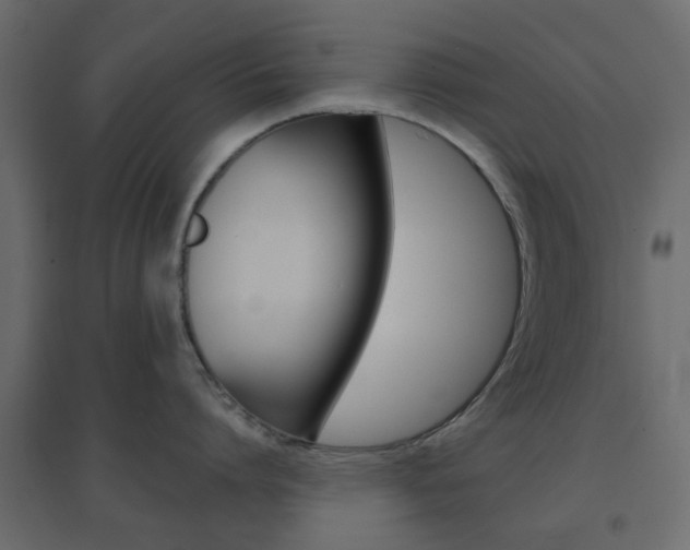 X0000096630864200802050932