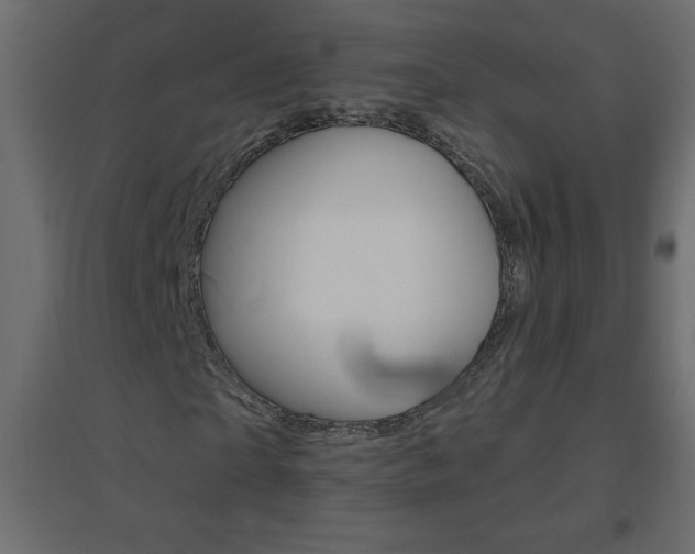 X0000096630865200802050932