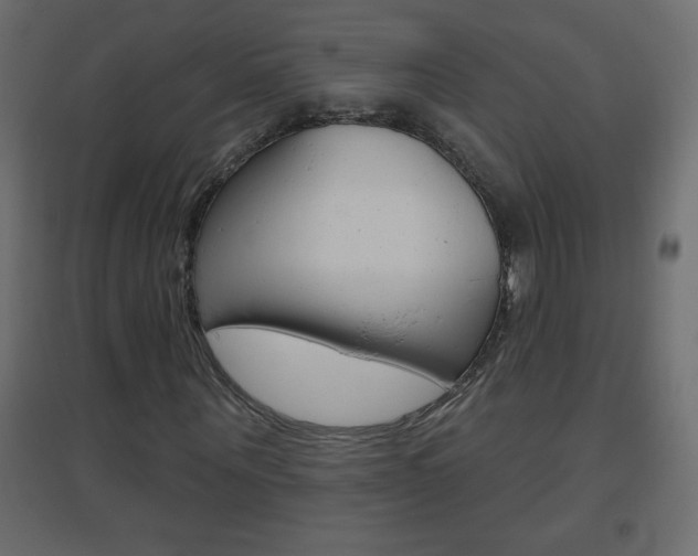 X0000096630867200802050932