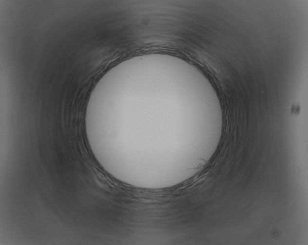 X0000096630868200802050932