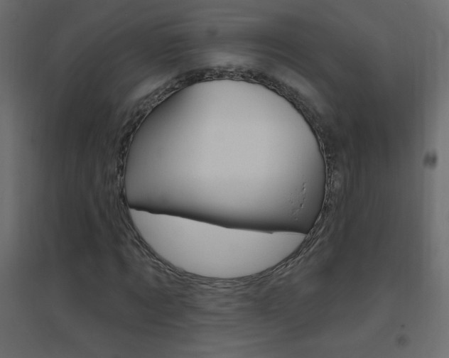 X0000096630869200802050932