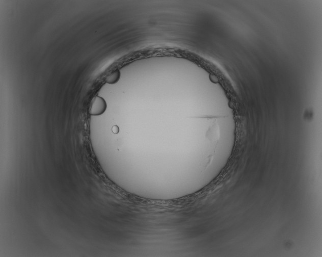 X0000096630871200802050932