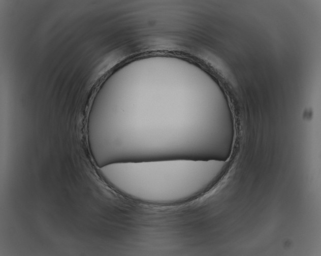 X0000096630873200802050932