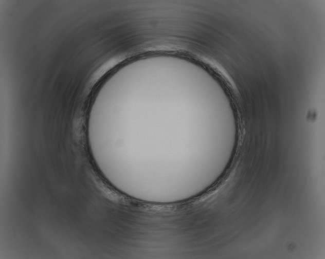 X0000096630874200802050932