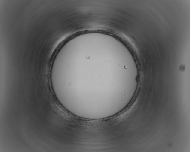 X0000096630875200802050932