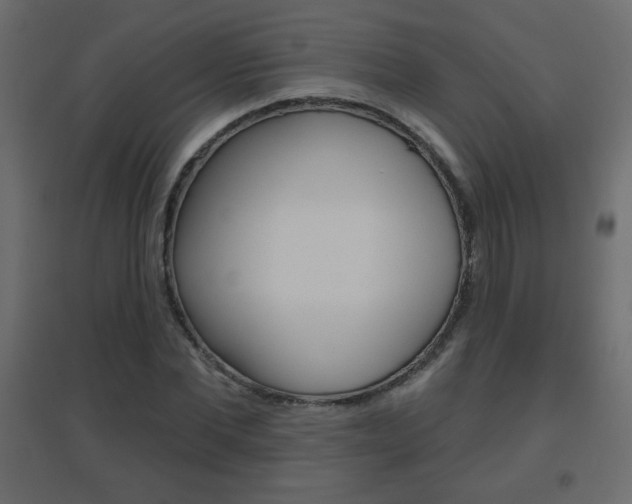 X0000096630877200802050932
