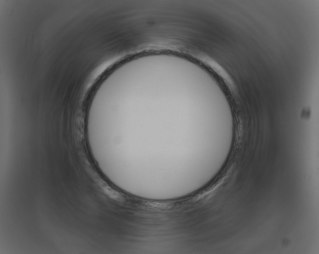 X0000096630878200802050932
