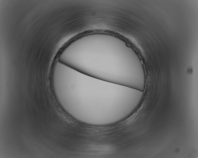 X0000096630879200802050932