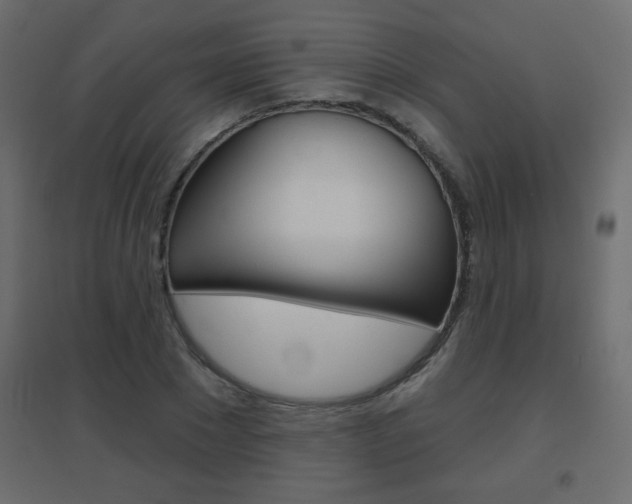 X0000096630881200802050932