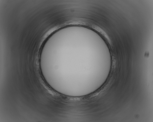 X0000096630882200802050932