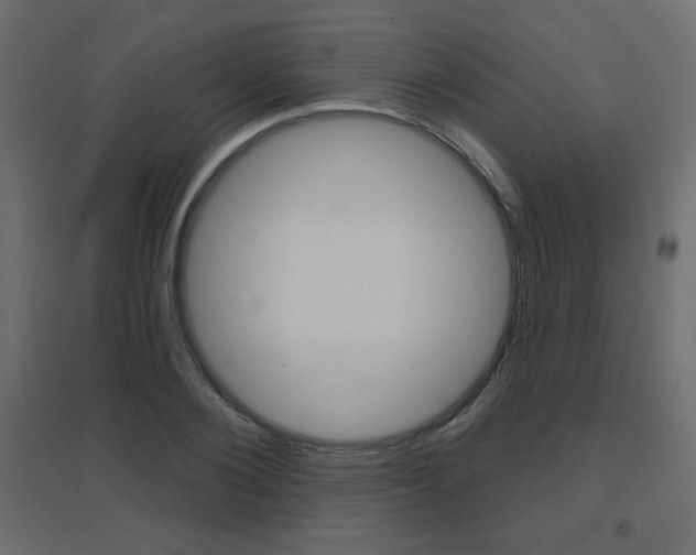 X0000096630884200802050932