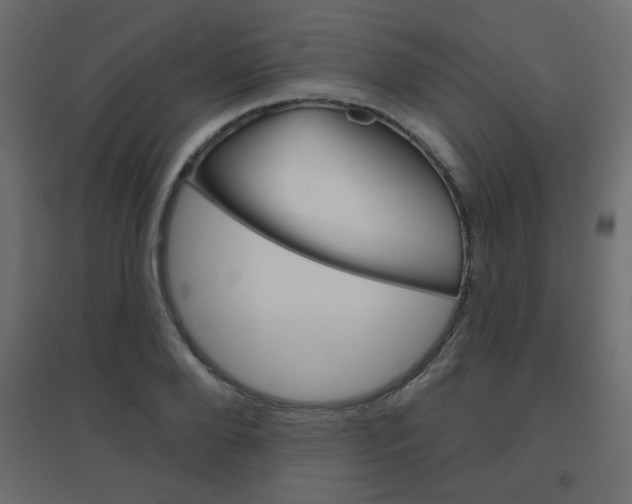 X0000096630888200802050931