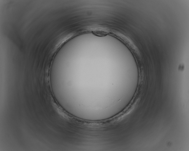 X0000096630889200802050931
