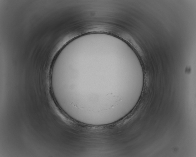 X0000096630890200802050931