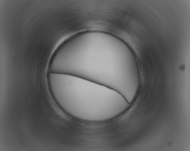 X0000096630891200802050931