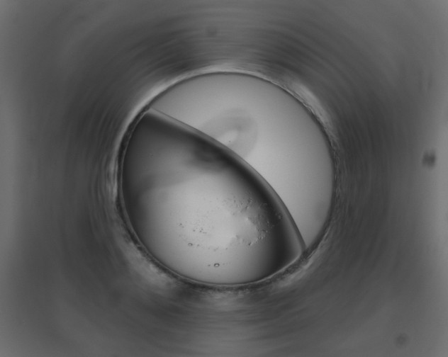 X0000096630892200802050931
