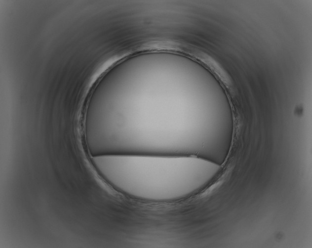 X0000096630893200802050931