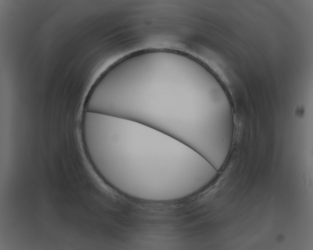 X0000096630895200802050931