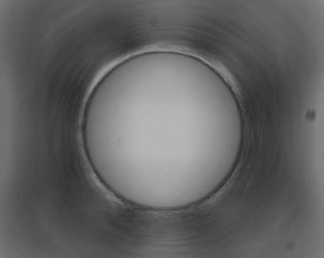 X0000096630896200802050931