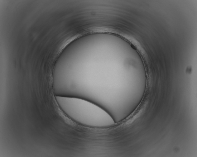 X0000096630897200802050931