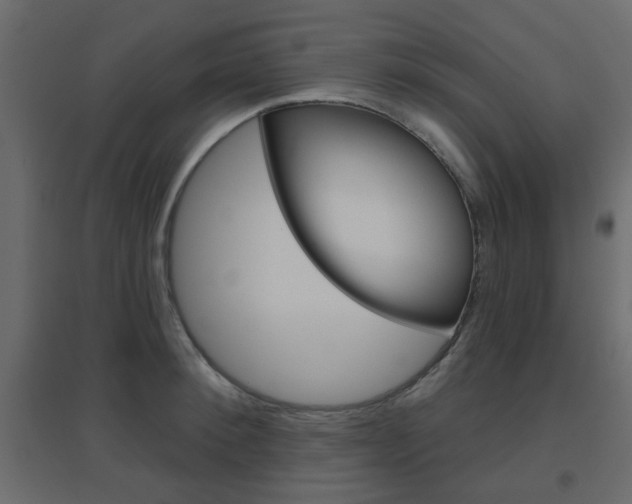 X0000096630900200802050931