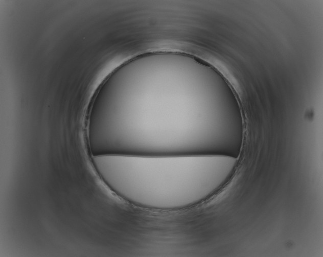 X0000096630901200802050931