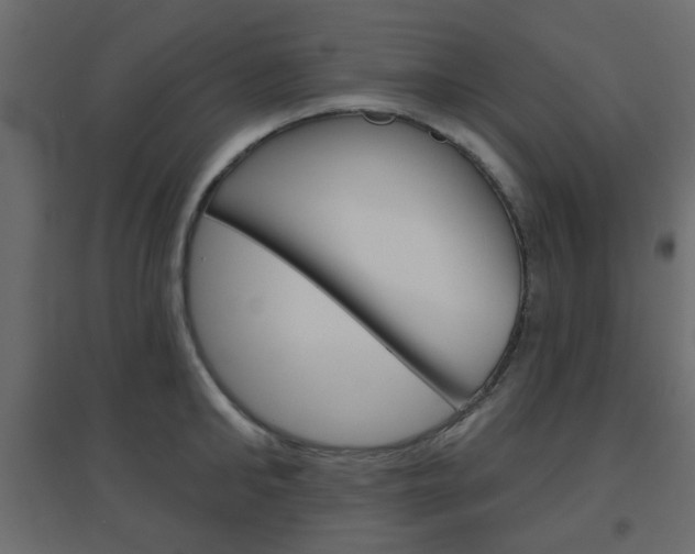 X0000096630902200802050931