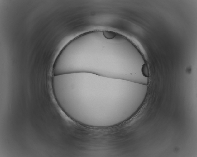 X0000096630903200802050931