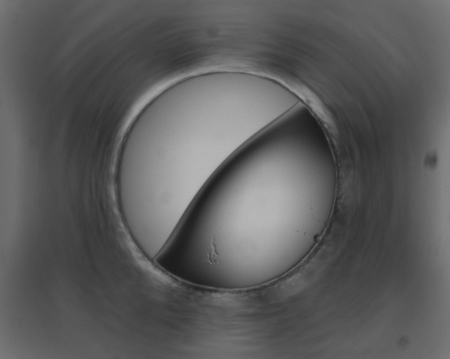 X0000096630904200802050931