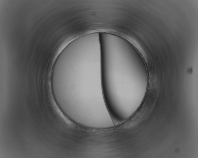 X0000096630906200802050931