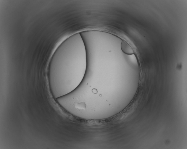 X0000096630907200802050931