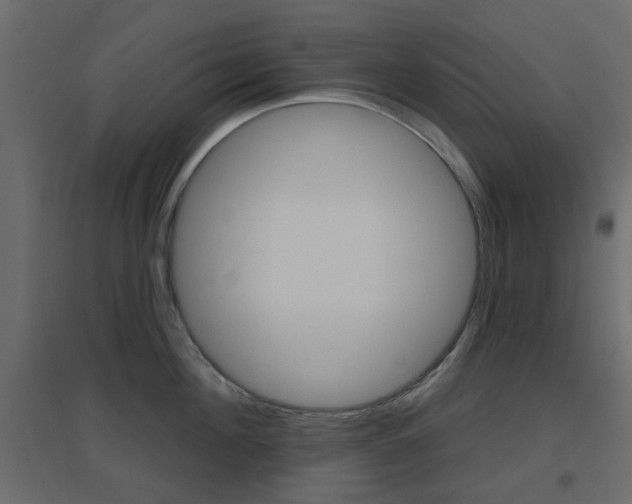 X0000096630908200802050931