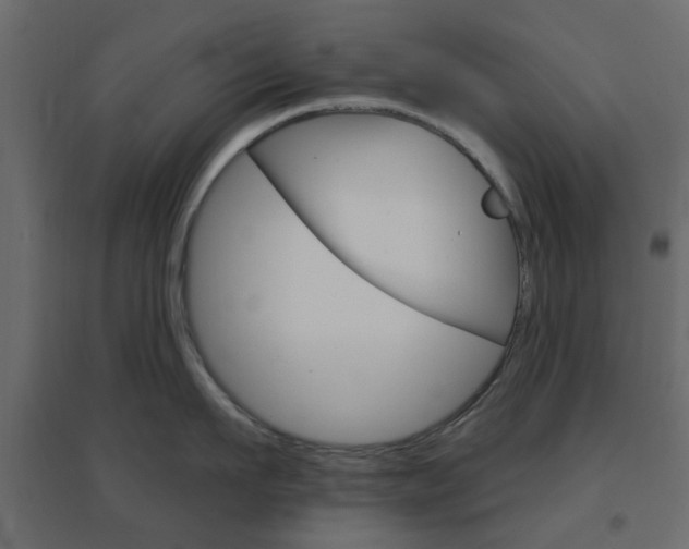 X0000096630911200802050931