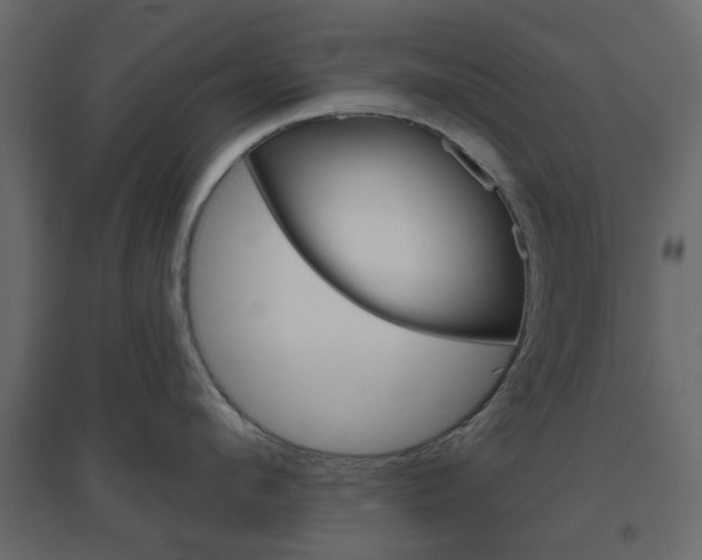 X0000096630912200802050931