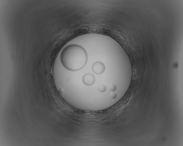X0000096630913200802050930