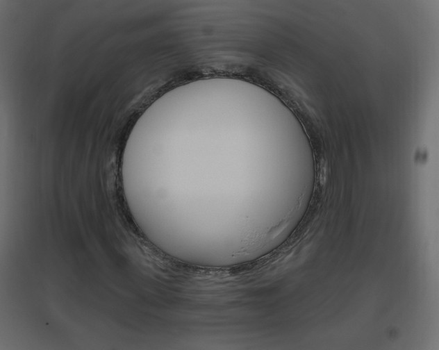 X0000096630915200802050930