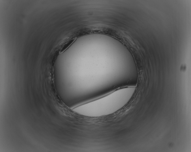 X0000096630916200802050930