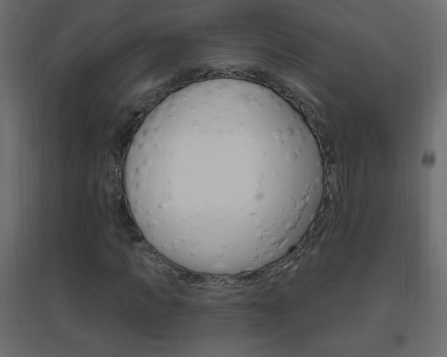 X0000096630917200802050930